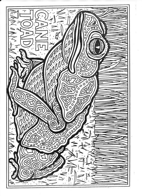 Adult Coloring Pages Animal Patterns
 Colouring books Coloring Mood