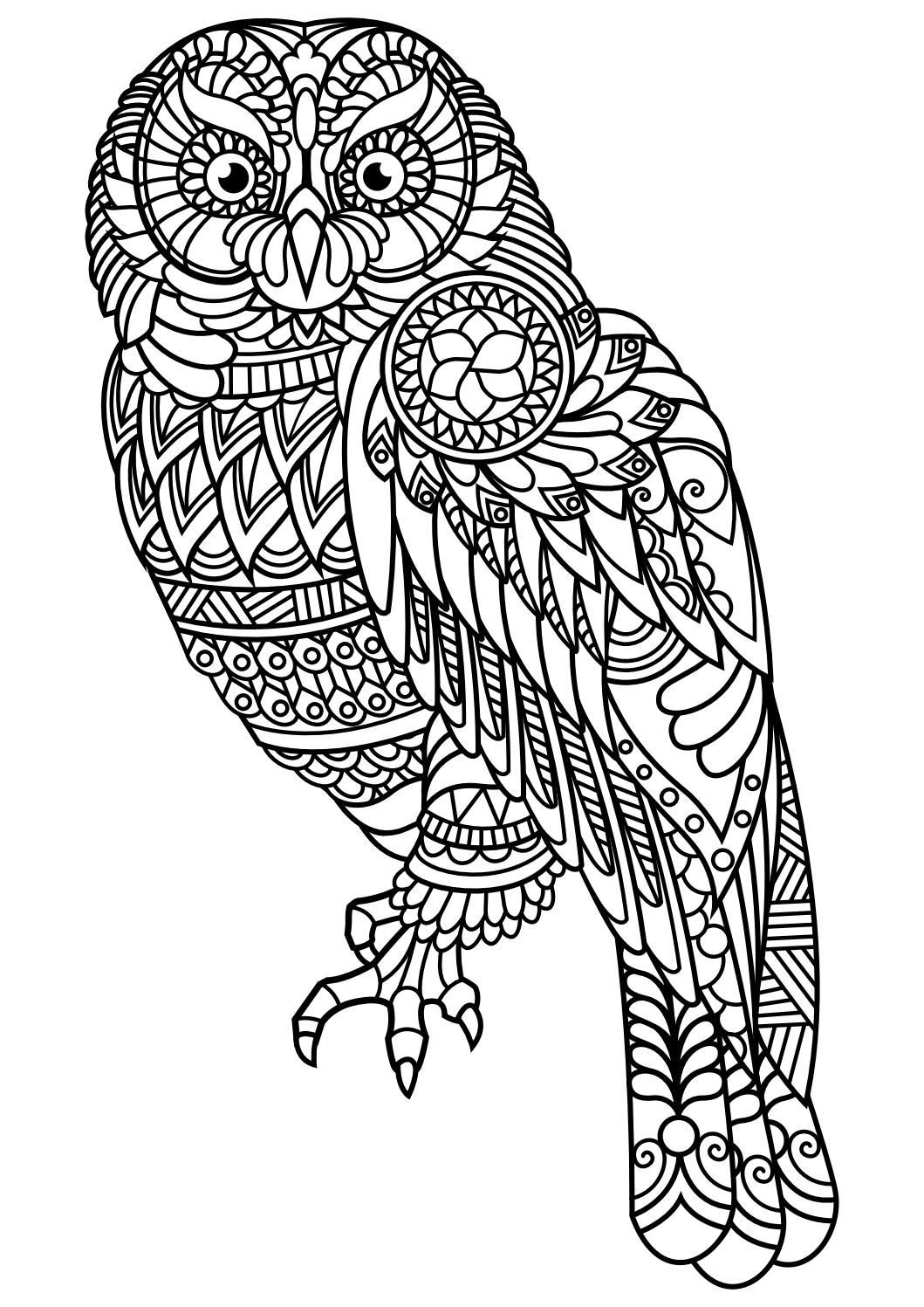 Adult Coloring Pages Animal Patterns
 Animal coloring pages pdf