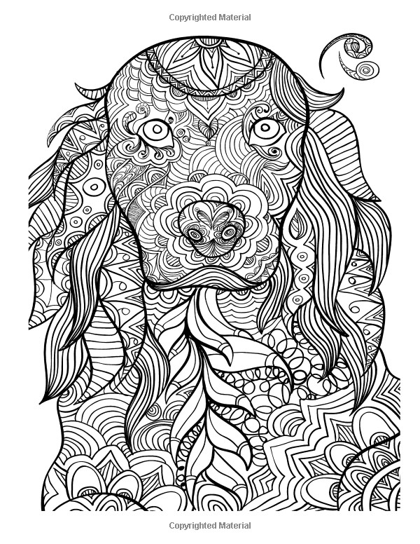 Adult Coloring Pages Animal Patterns
 Amazon FASCINATING Animal Patterns Coloring Book for Adults Lovink Coloring Books