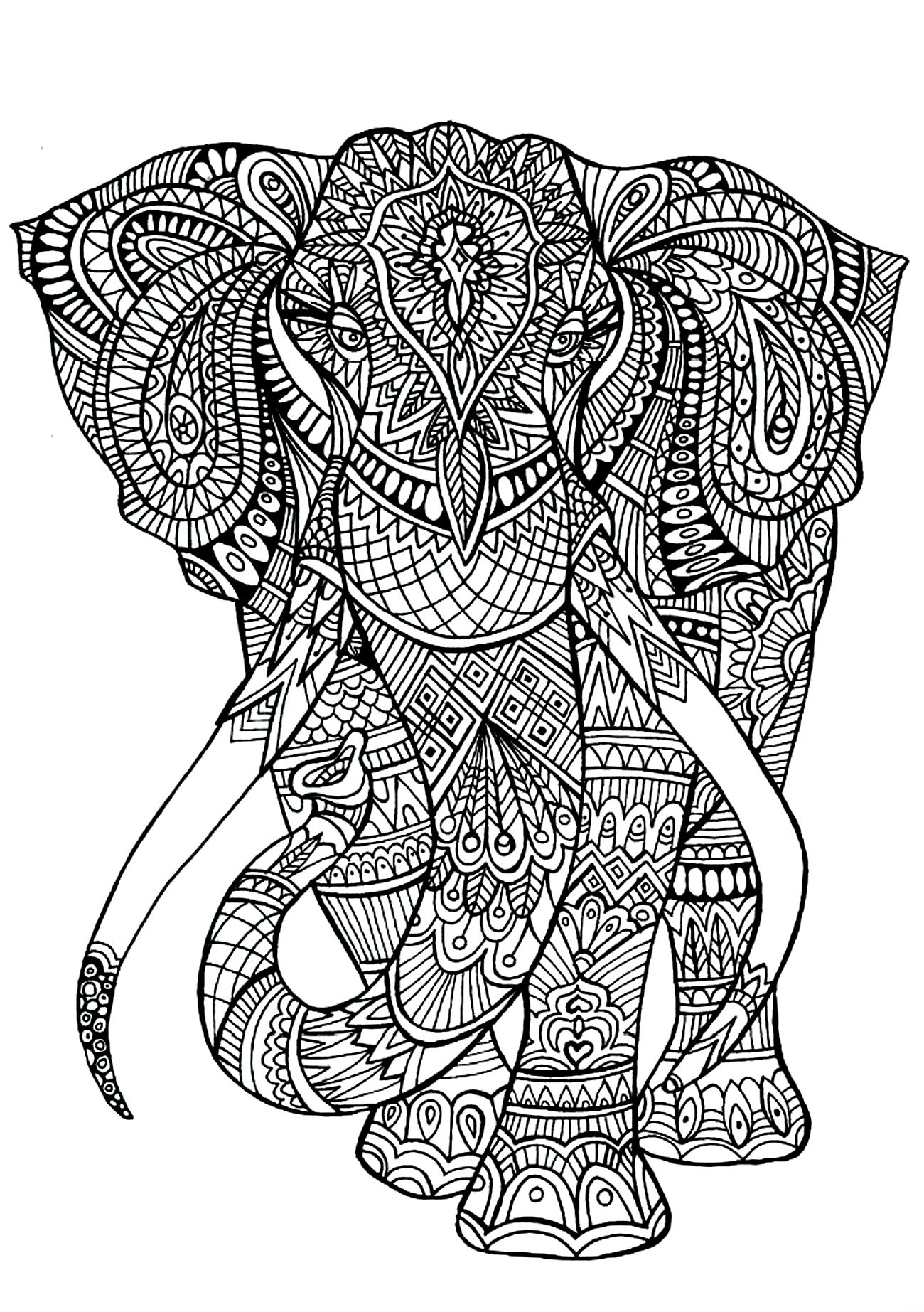 Adult Coloring Pages Animal Patterns
 Elephant patterns Animals Coloring pages for adults