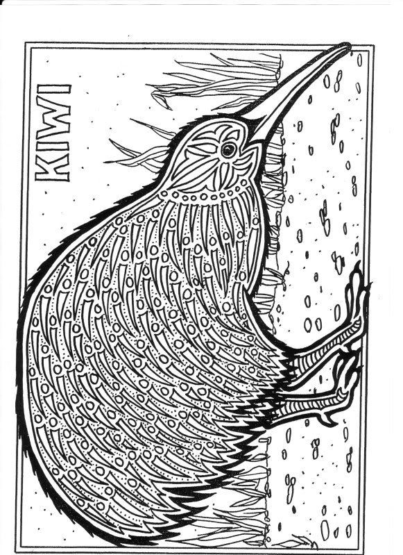 Adult Coloring Pages Animal Patterns
 Kiwi by photogfrog Author Louisa Eddleston Things to use Pinterest