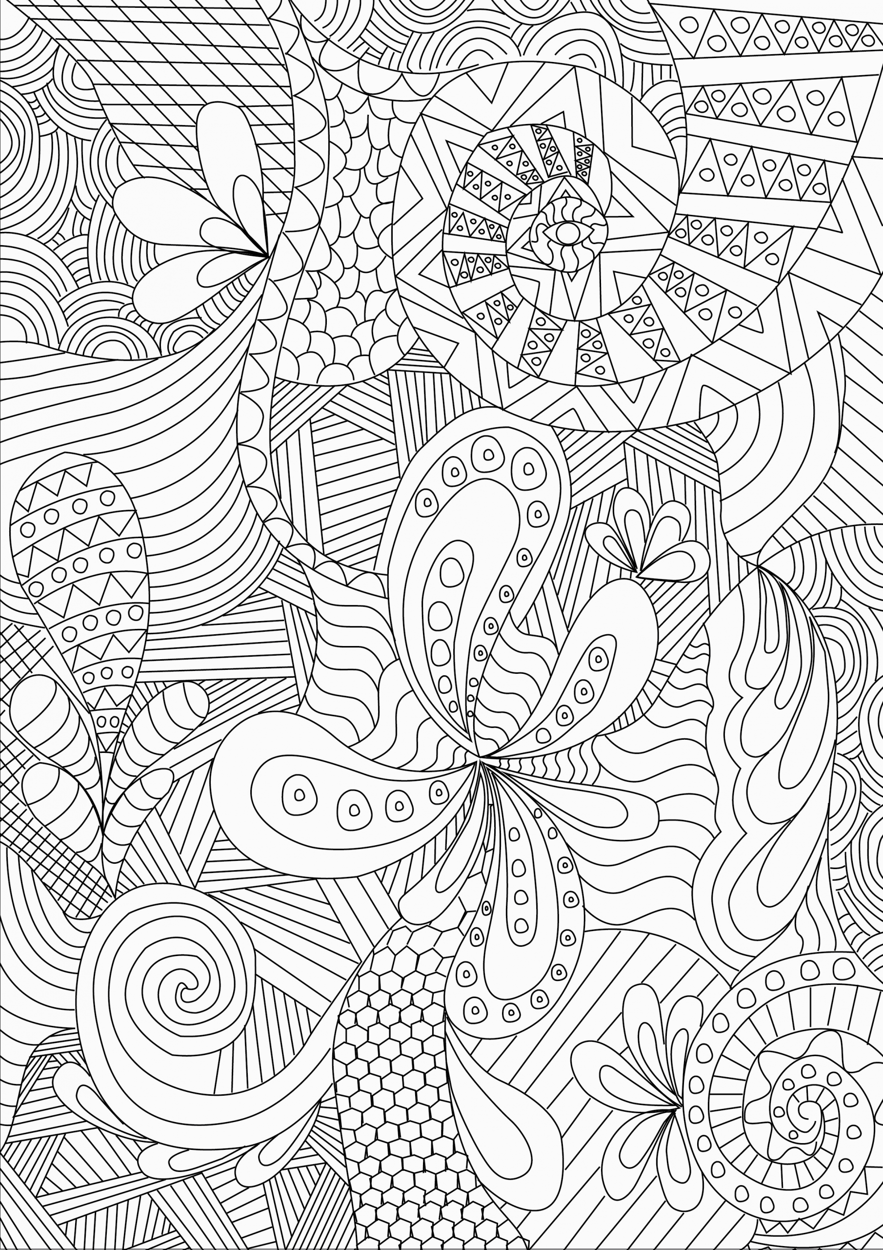 Adult Coloring Pages For Free
 Zentangle Colouring Pages In The Playroom