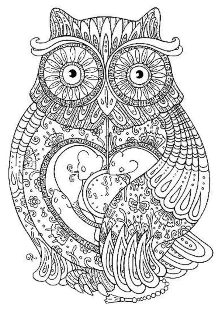 Adult Coloring Pages Pinterest
 Coloring Pages Adult Coloring Page Coloring Pages For