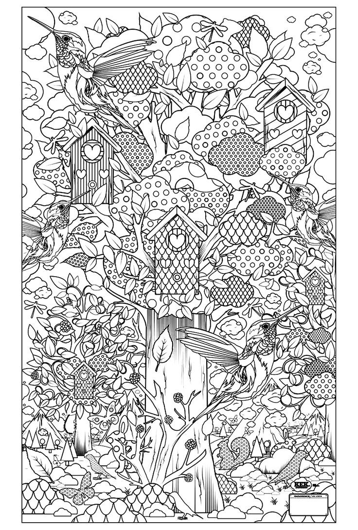 Adult Coloring Pages Pinterest
 To print this free coloring page coloring adult birds