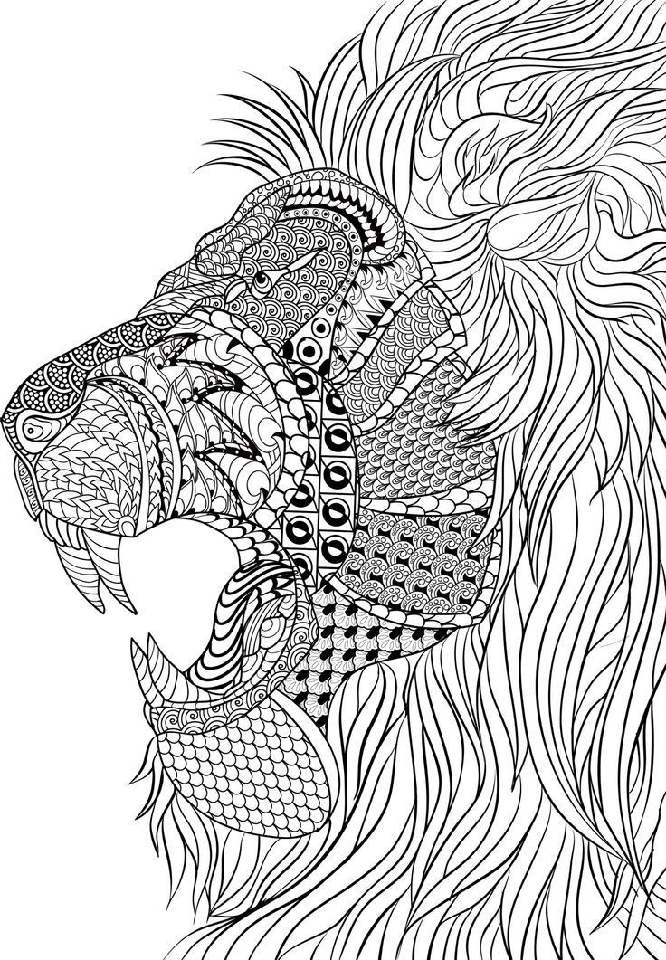 Adult Coloring Pages Pinterest
 Lion Zentangle