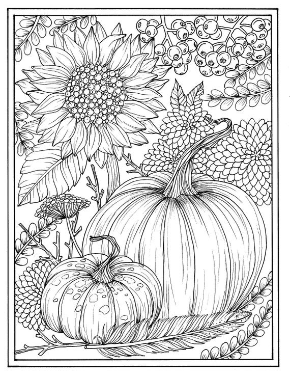 Adult Fall Coloring Pages
 Fall flowers and pumpkins digital coloring page Thanksgiving