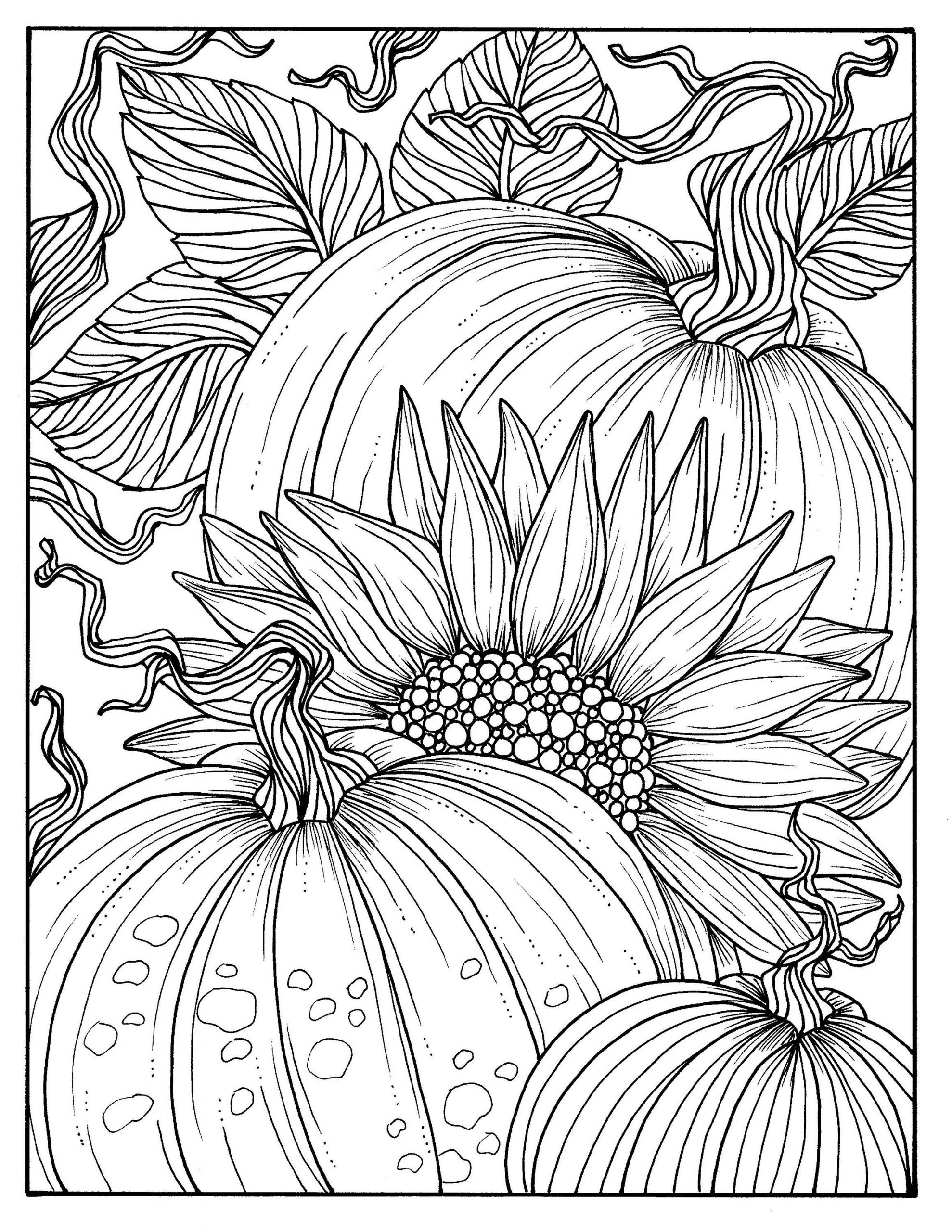 Adult Fall Coloring Pages
 5 Pages Fabulous Fall Digital Downloads to Color Punpkins