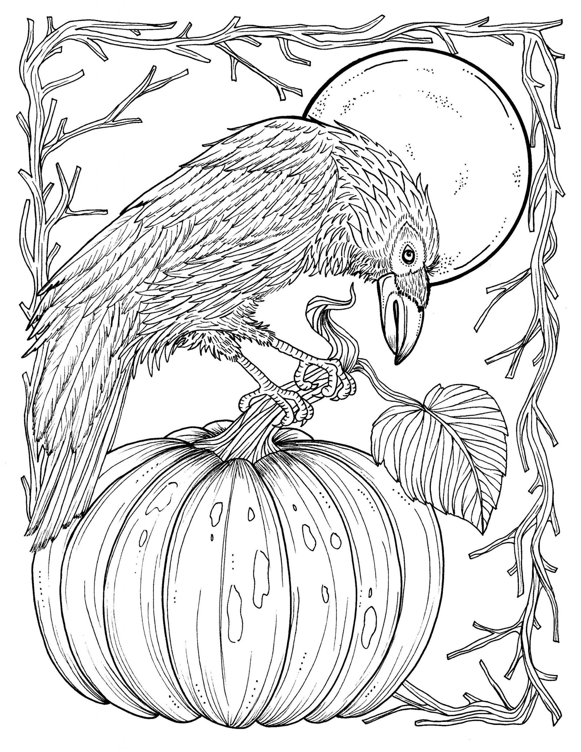 Adult Fall Coloring Pages
 Fall Crow Digital Coloring page Thanksgiving harvest Adult