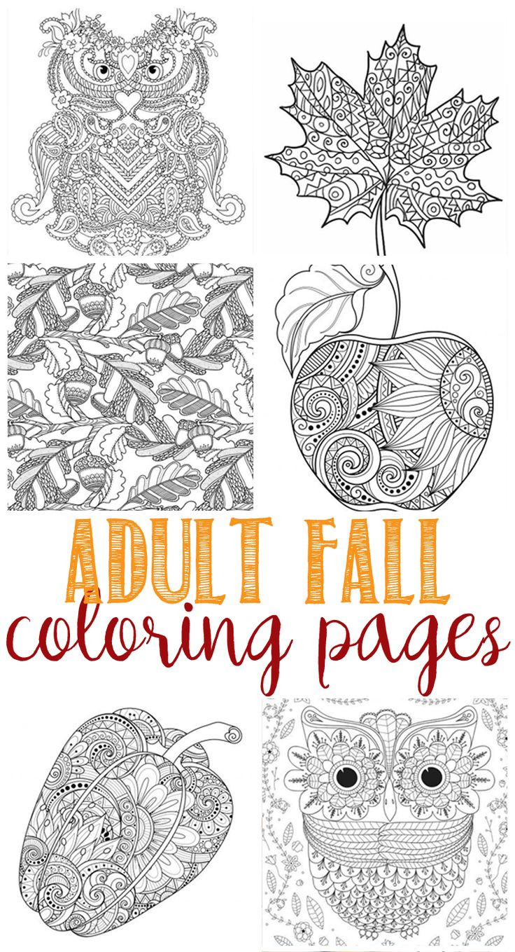Adult Fall Coloring Pages
 FREE Fall Coloring Pages