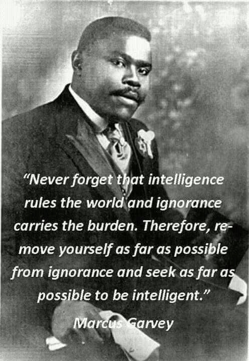 African American Quotes On Education
 The Freedom of Intelligence Trounces The Burdens