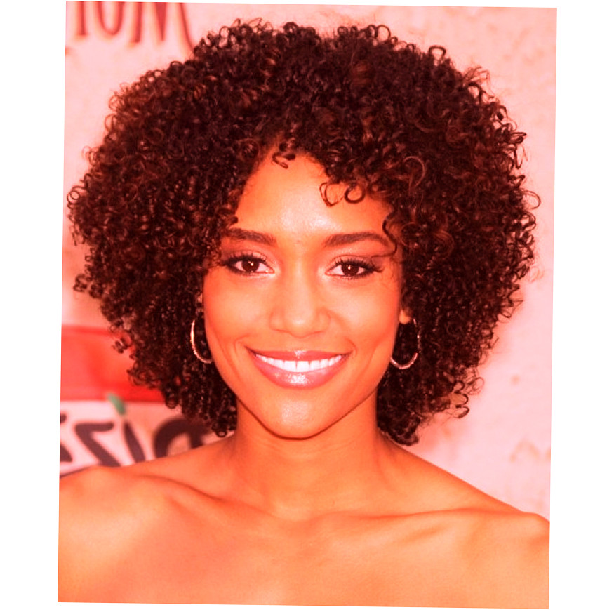 African Natural Hairstyles
 African American Natural Hairstyles New Style for 2016