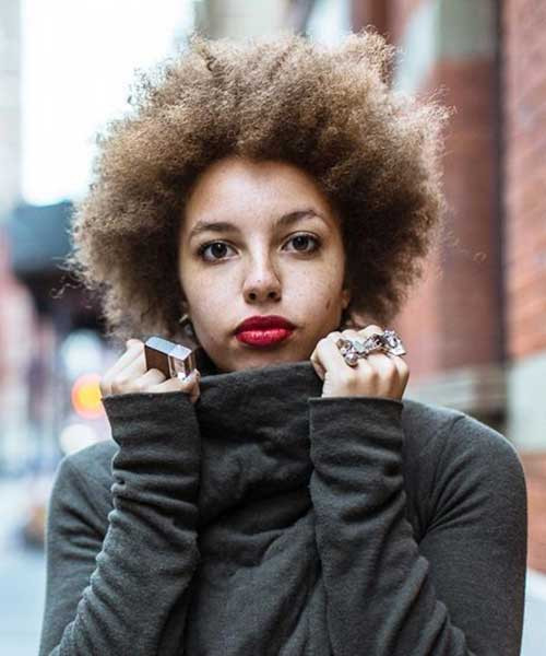 Afro Haircuts Female
 20 Amazing Curly Short Hairstyles for All Smart Women
