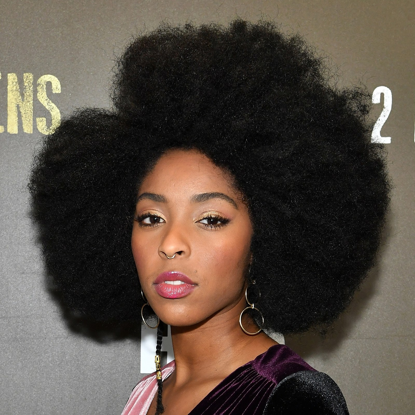 Afro Haircuts Female
 Best Afro Hairstyle and Haircut Ideas From Celebrities in