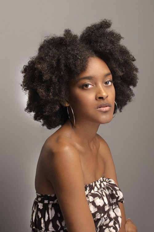 Afro Haircuts Female
 Curly Afro Hairstyles The Xerxes