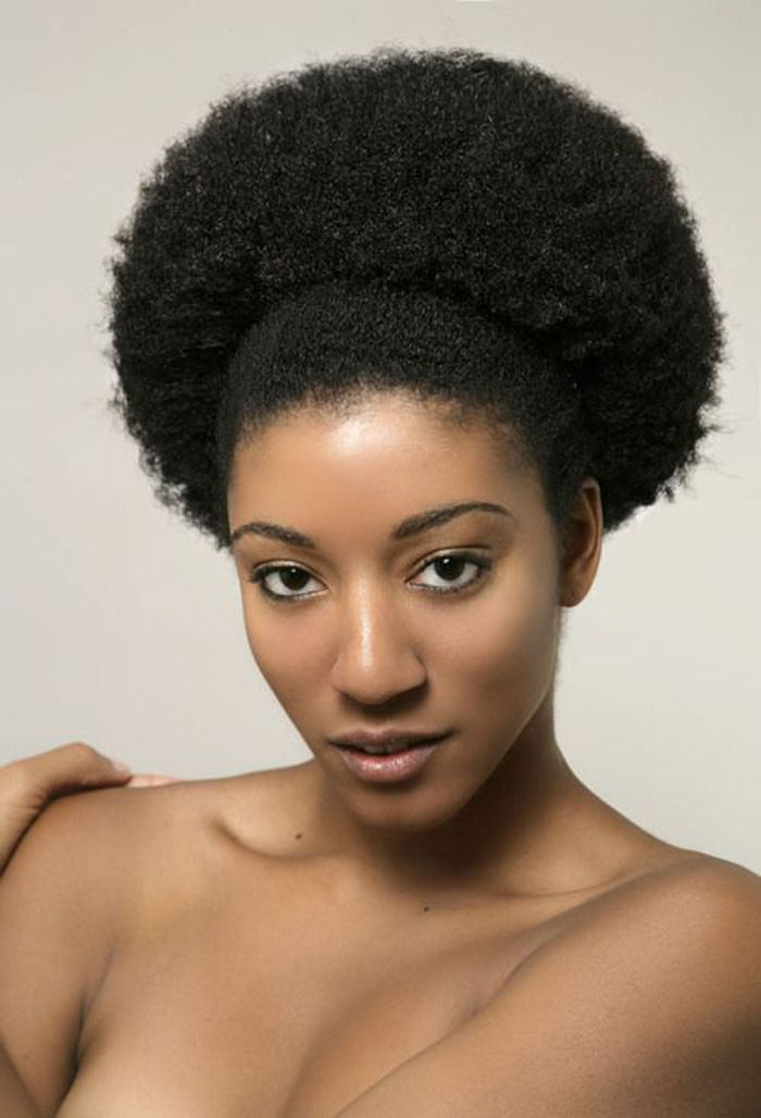Afro Natural Hairstyle
 It s Vera vs Her Natural Hair The Holiday Hairstyle