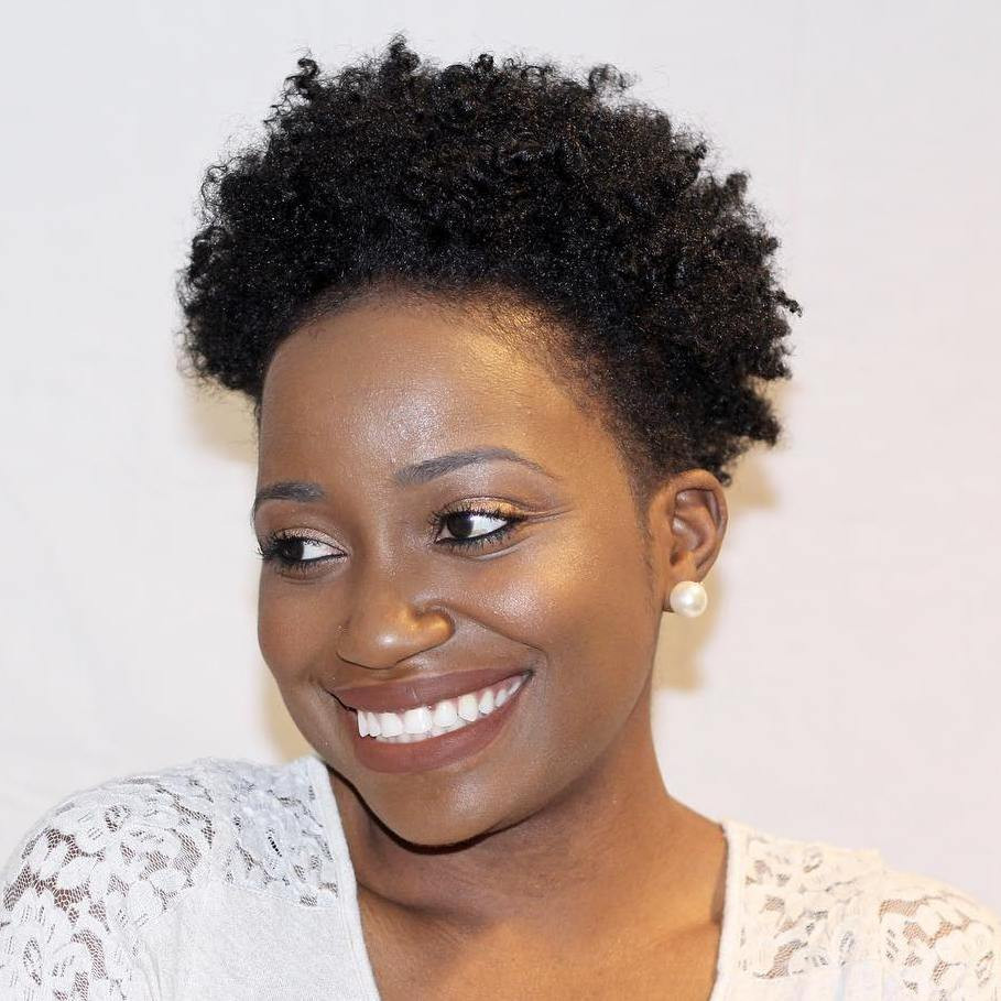 Afro Natural Hairstyle
 40 Cute Tapered Natural Hairstyles for Afro Hair