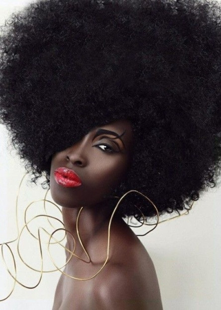 Afro Natural Hairstyle
 Natural Afro Hairstyles for Black Women To Wear