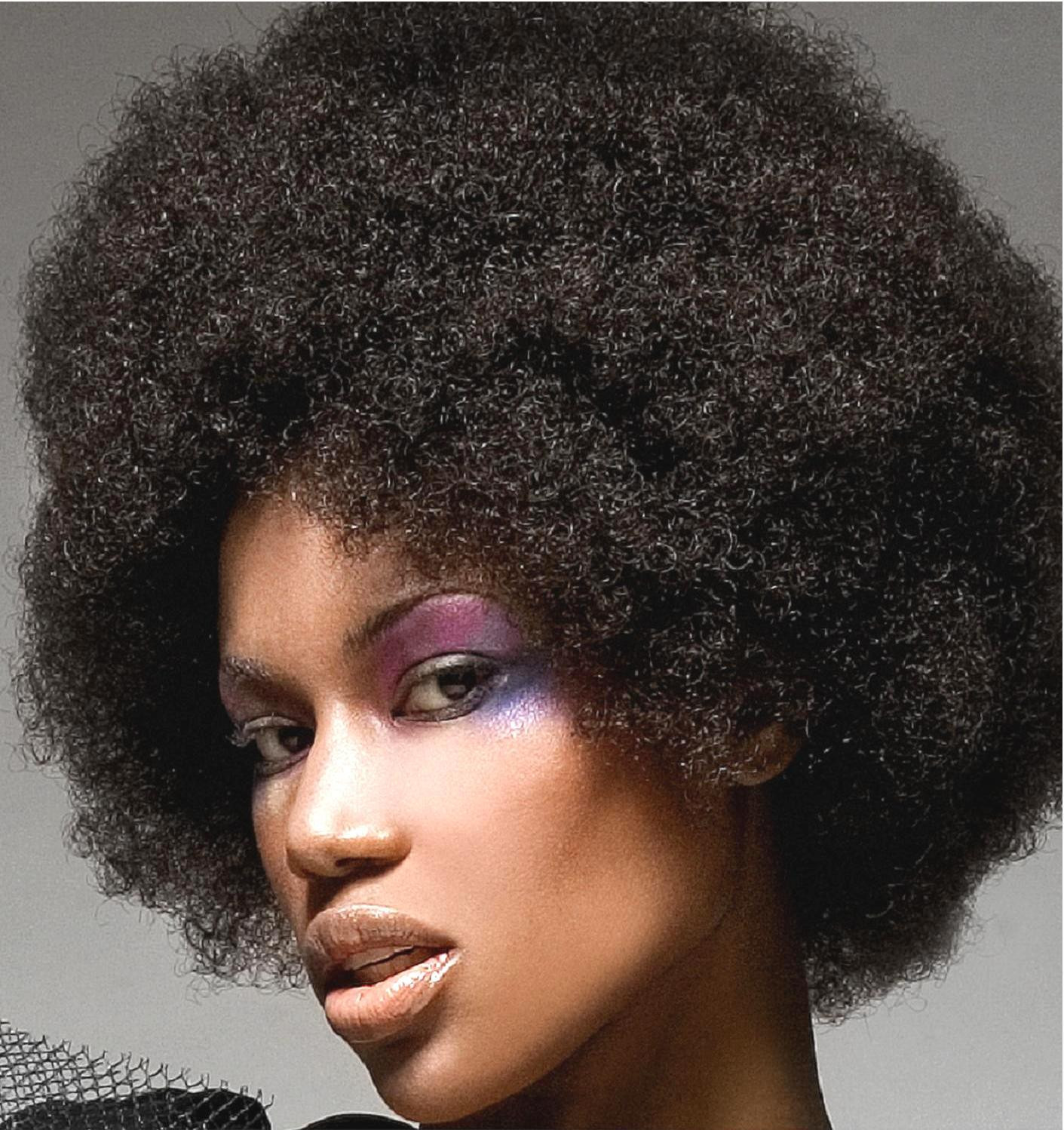 Afro Natural Hairstyle
 African American hairstyles for women 2013