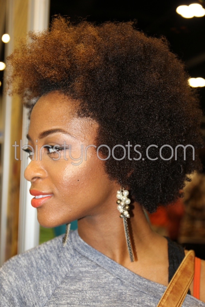 Afro Natural Hairstyle
 Natural Afro Hairstyles for Black Women To Wear