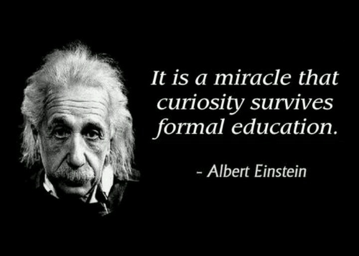 Albert Einstein Quotes On Education
 Albert Einstein About Education Quotes QuotesGram