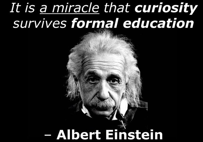 Albert Einstein Quotes On Education
 31 Amazing Albert Einstein Quotes with Funny