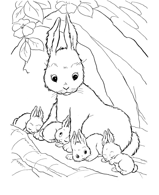 Animal Coloring Pages For Girls
 Coloring Pages For Girls Cute coloring pages