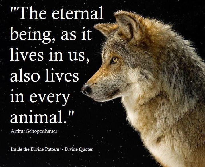 Animal Quotes Inspirational
 Inspirational Quotes About Wolf QuotesGram