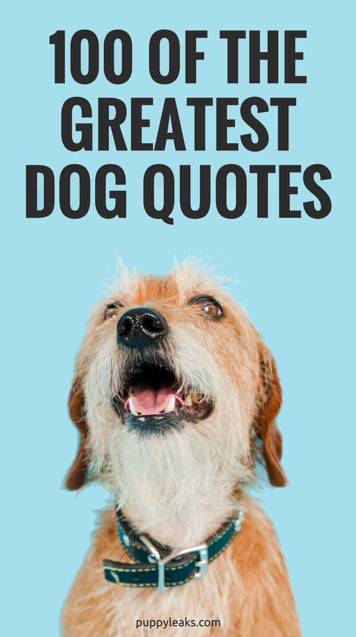 Animal Quotes Inspirational
 100 of the Best Dog Inspired Quotes Puppy Leaks