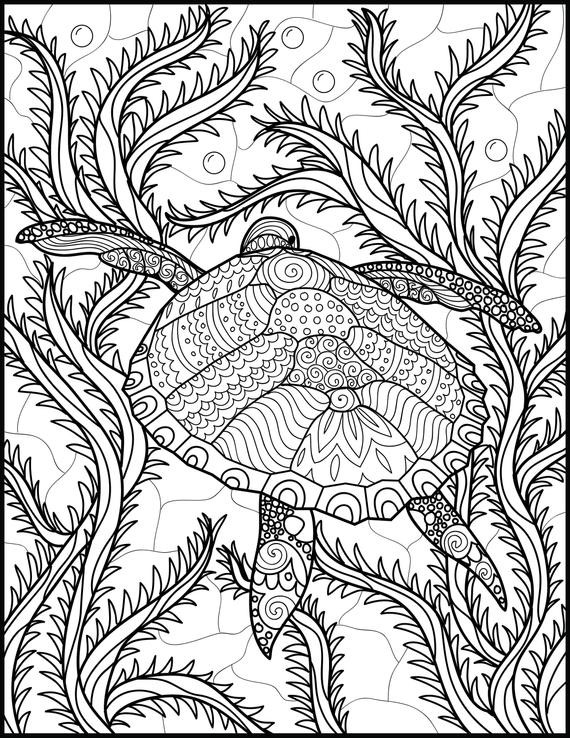 Animals Coloring Pages For Adults
 2 Adult Coloring Pages Animal Coloring Page Printable
