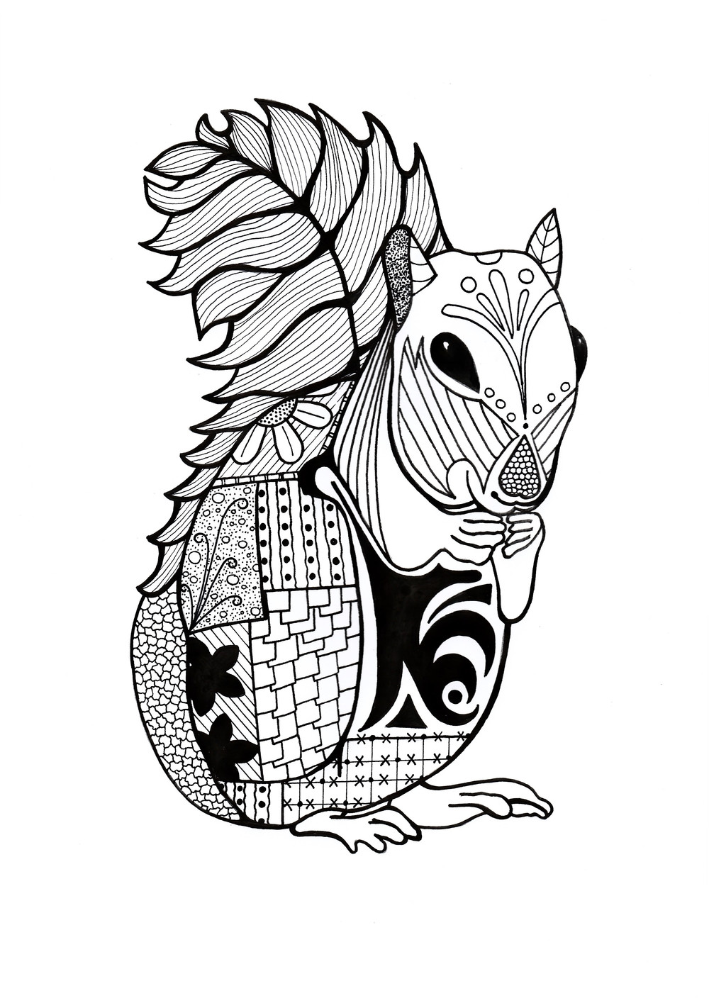 Animals Coloring Pages For Adults
 Intricate Squirrel Adult Coloring Page