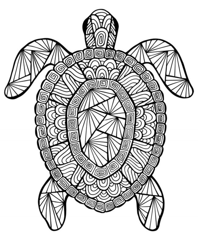 Animals Coloring Pages For Adults
 Animal Coloring Pages for Adults Best Coloring Pages For
