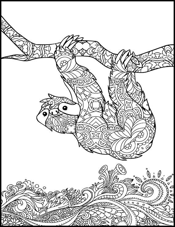 Animals Coloring Pages For Adults
 Printable Coloring Page Adult Coloring Page Animal