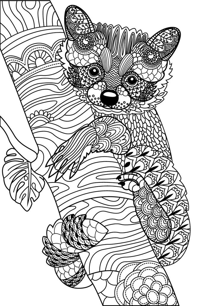 Animals Coloring Pages For Adults
 809 best Animal Coloring Pages for Adults images on