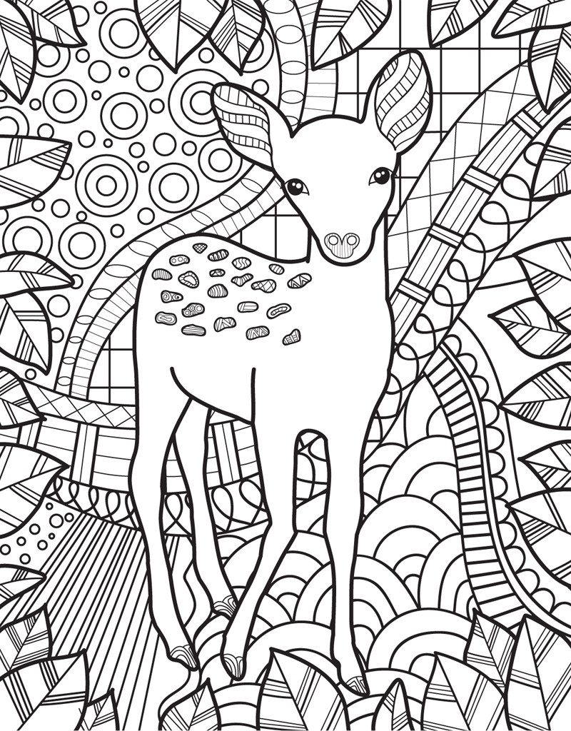 Animals Coloring Pages For Adults
 Zendoodle Coloring Baby Animals Jeanette Wummel