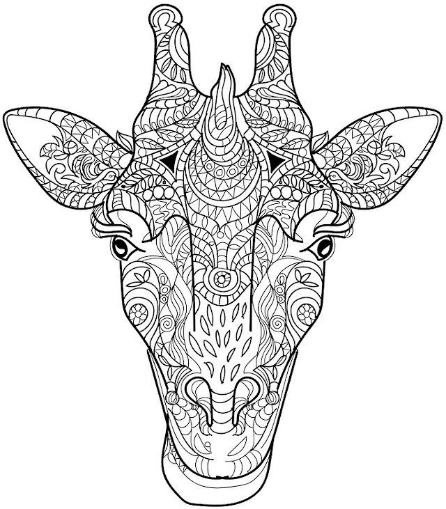 Animals Coloring Pages For Adults
 giraffe coloring page colorpagesforadults
