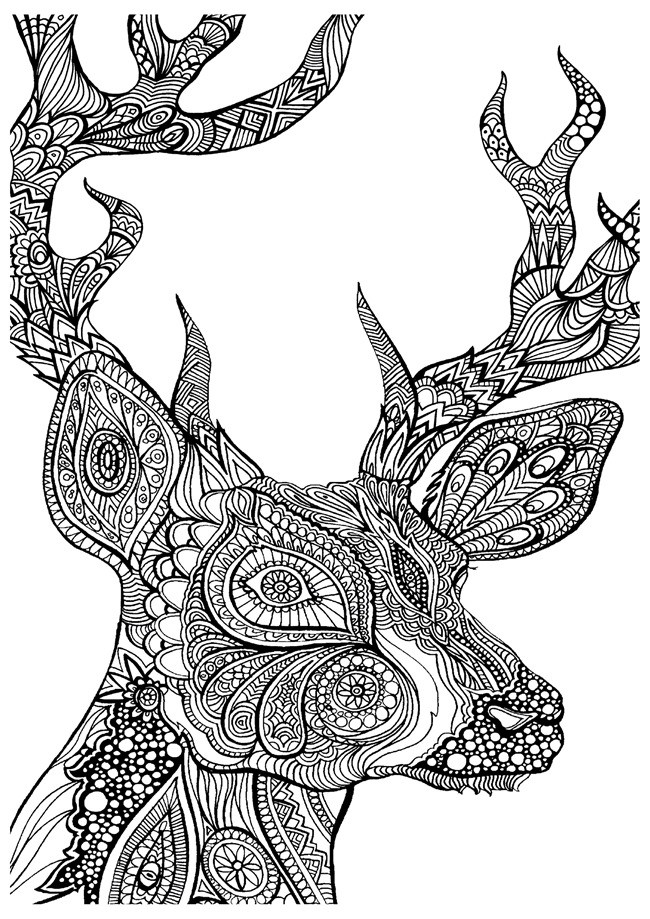 Animals Coloring Pages For Adults
 Printable Coloring Pages for Adults 15 Free Designs