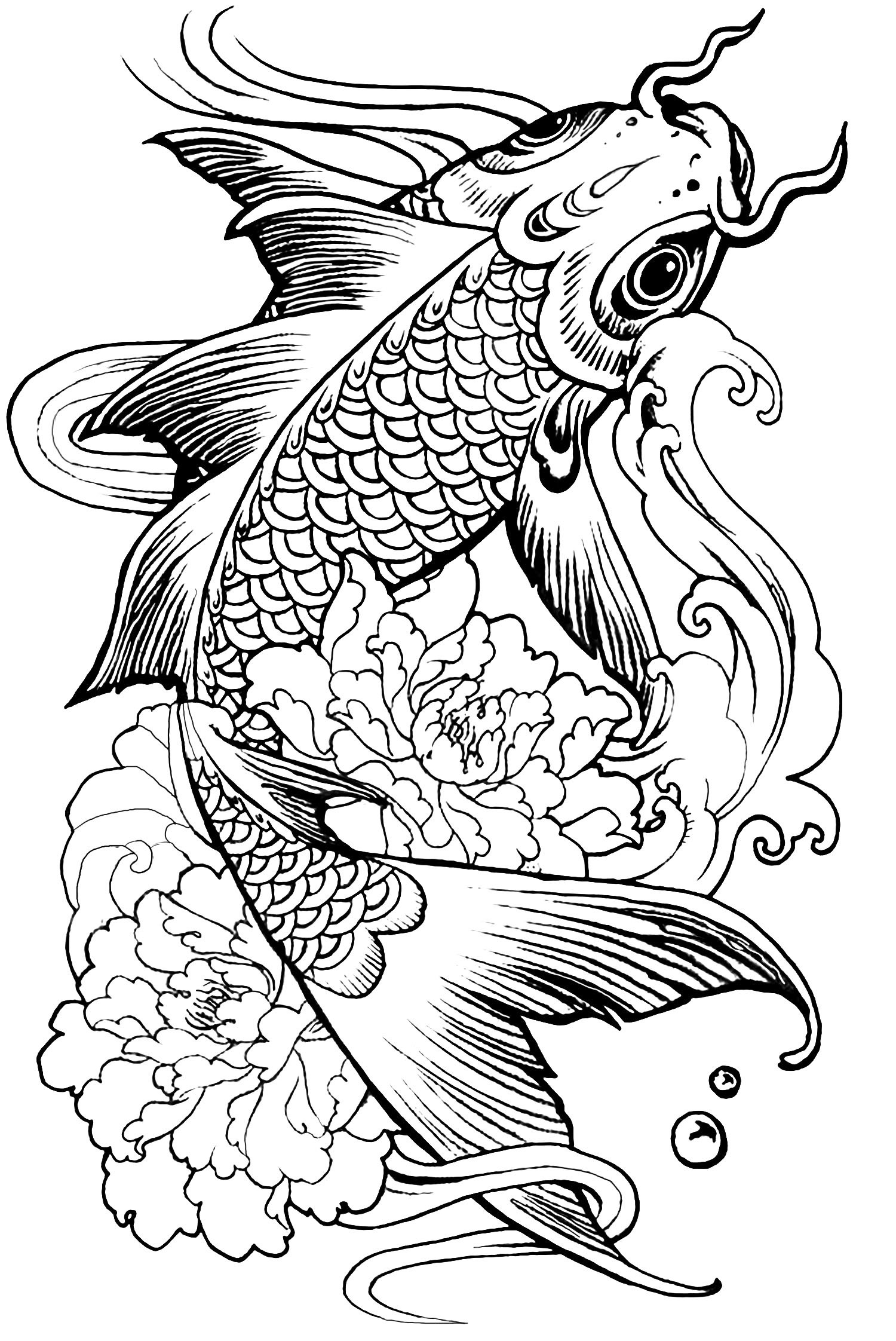 Animals Coloring Pages For Adults
 plex fish carp