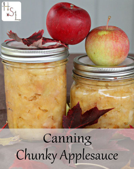 Applesauce Canning Recipe
 17 of the Most Unique and Unusual But Tastebud Worthy
