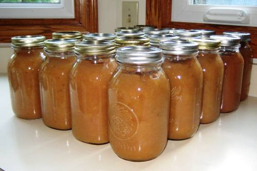Applesauce Recipe For Canning
 Homemade Crockpot Applesauce Recipe
