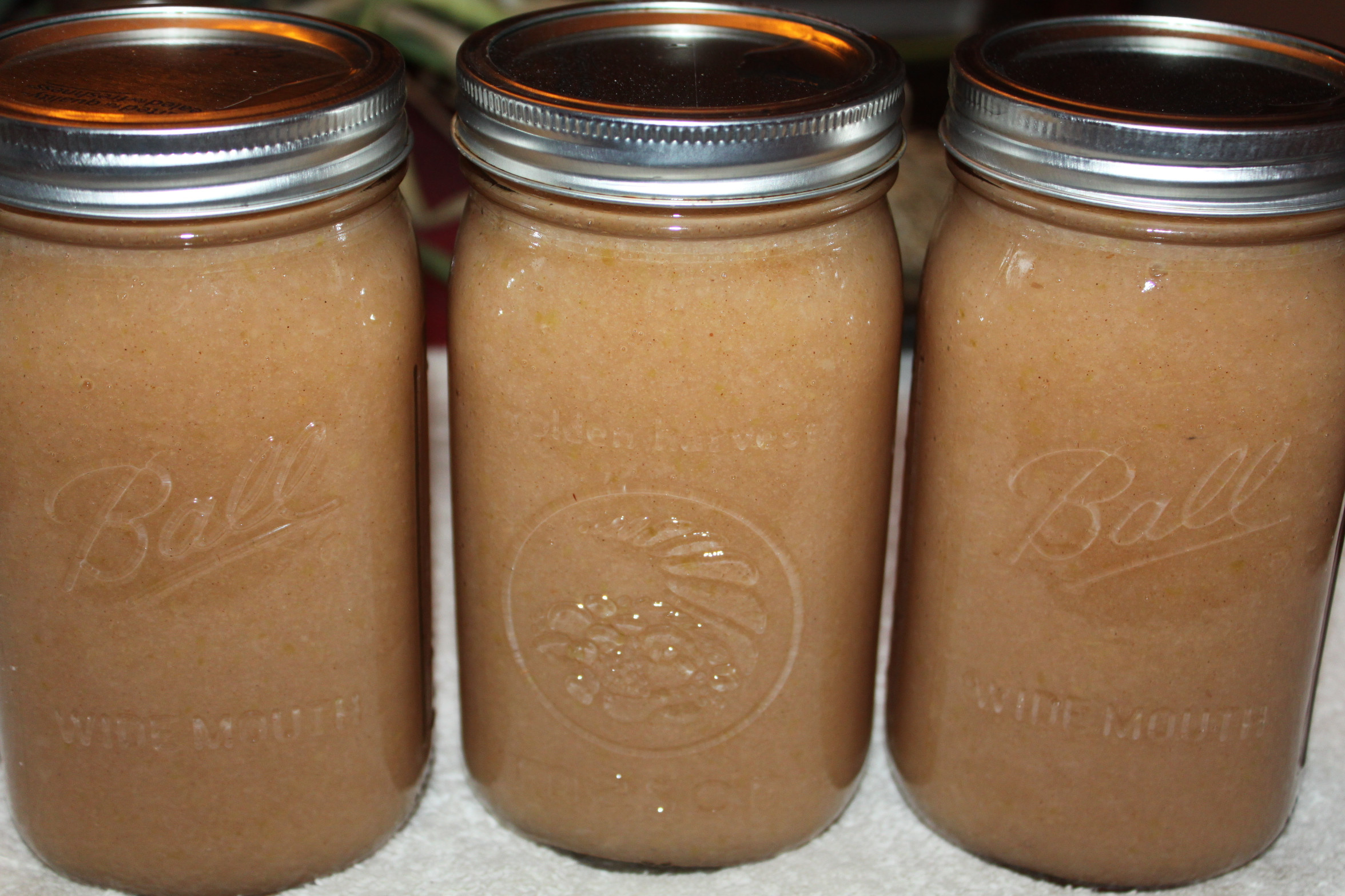 Applesauce Recipe For Canning
 The Secrets to Canning Apple Sauce – Recipe of the Week