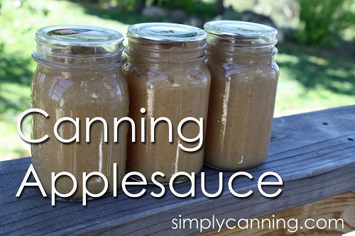 Applesauce Recipe For Canning
 Canning Applesauce easy recipe with a waterbath canner