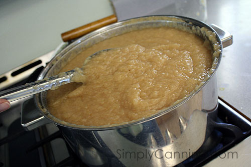 Applesauce Recipe For Canning
 Canning Applesauce easy recipe with a waterbath canner