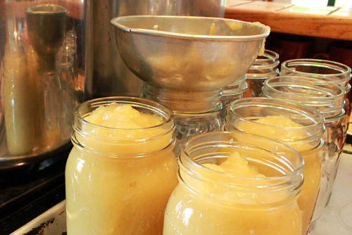 Applesauce Recipe For Canning
 How to Can Applesauce