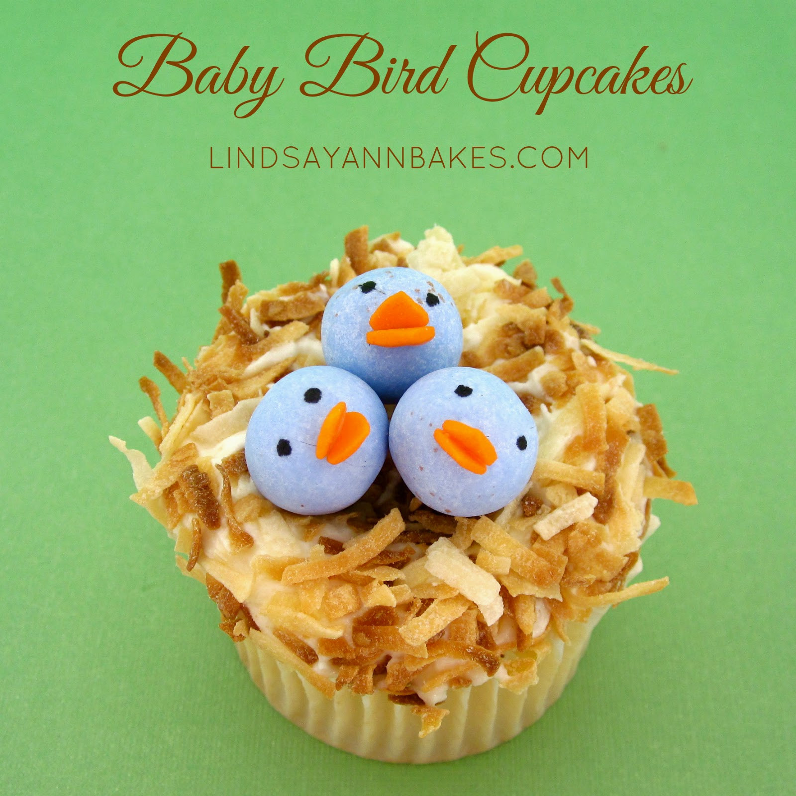 Baby Bird Food Recipe
 Baby Bird Cupcakes Lindsay Ann Bakes