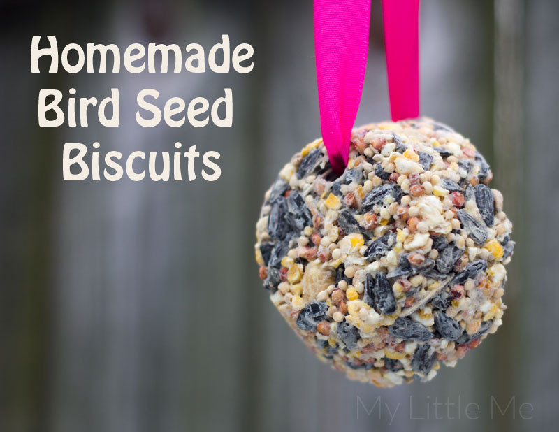 Baby Bird Food Recipe
 Homemade Bird Seed Biscuits My Little Me