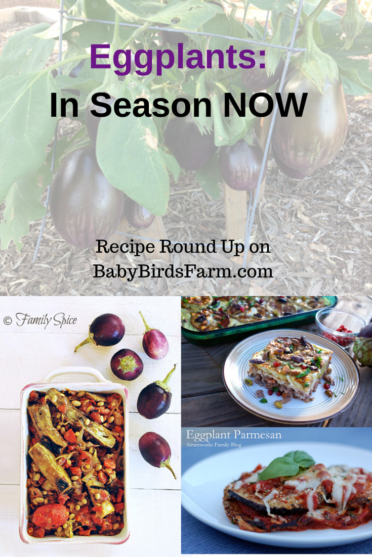 Baby Bird Food Recipe
 Eggplant Recipes In Season NOW Baby Bird s Farm and Cocina
