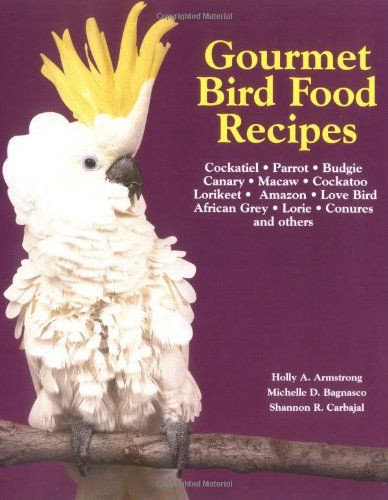 Baby Bird Food Recipes
 17 Best images about Recipes for Birds on Pinterest