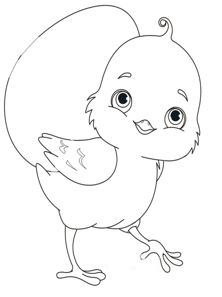 Baby Chicks Coloring
 Free printable Baby Chick coloring pages For Kids