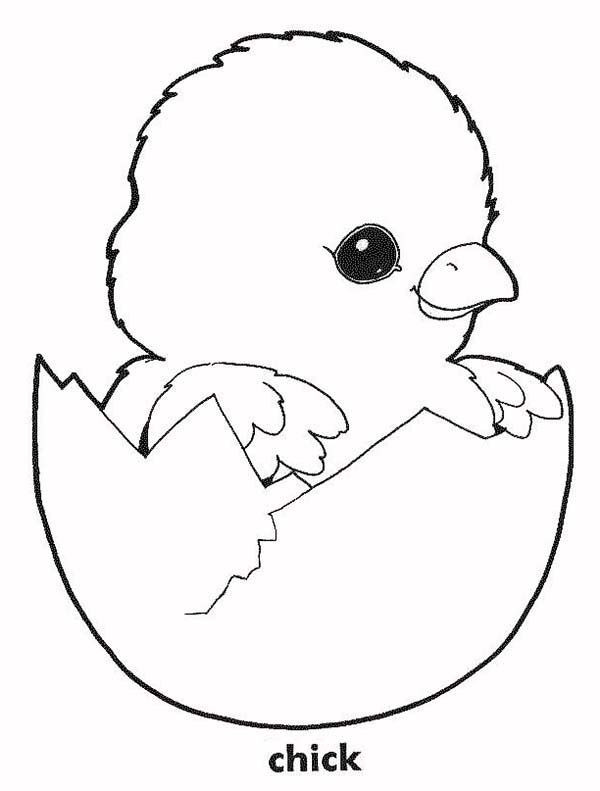 Baby Chicks Coloring
 Baby Chick Coloring Pages Part 5