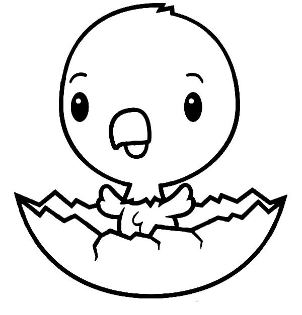 Baby Chicks Coloring
 Chick Coloring Page Best Coloring Pages For Kids